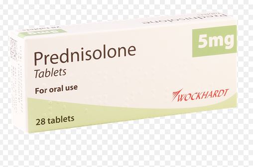 Prednisolon 5mg